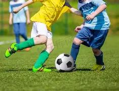 PGL,年电竞赛事,巅峰揭秘,B,Sports,B体育,体育直播,体育赛事,APP下载,官方网地址