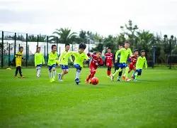 PGL,年电竞赛事,巅峰揭秘,B,Sports,B体育,体育直播,体育赛事,APP下载,官方网地址