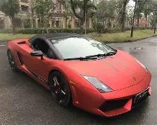 全运会男子,铁饼赛,新疆选手图,B,Sports,B体育,体育直播,体育赛事,APP下载,官方网地址