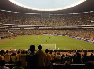 全新节奏,非洲杯升级,四年一届盛,B,Sports,B体育,体育直播,体育赛事,APP下载,官方网地址