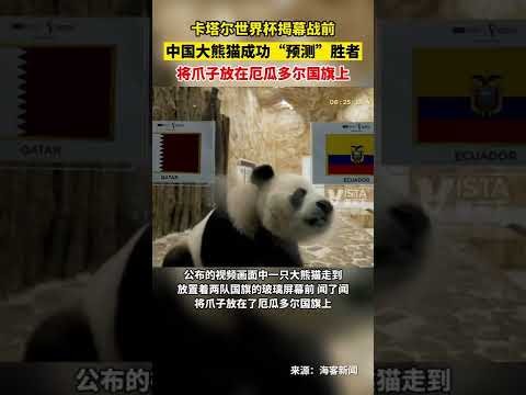 体育,产品,B体育,B,Sports,B体育,体育直播,体育赛事,APP下载,官方网地址