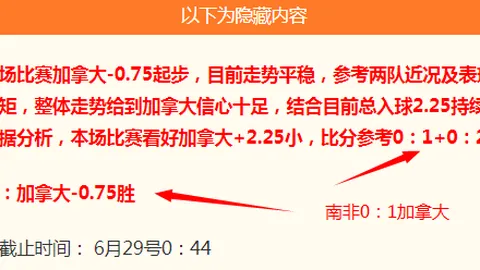 法国对阵摩洛哥：世界杯激战前瞻，攻略解析